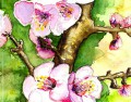 Blüte von Fruchtbaum, Aquarell, 2005, 15x21